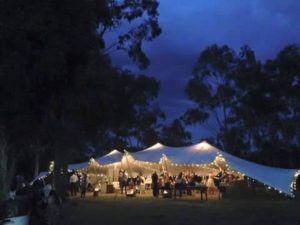 Gold Coast Wedding under lights